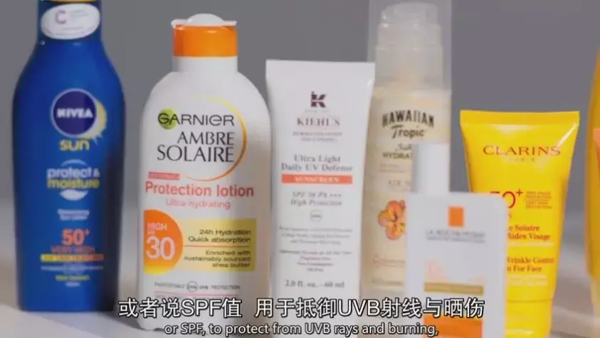 大湾区文学作品集成之作《大湾区文学选本》发布