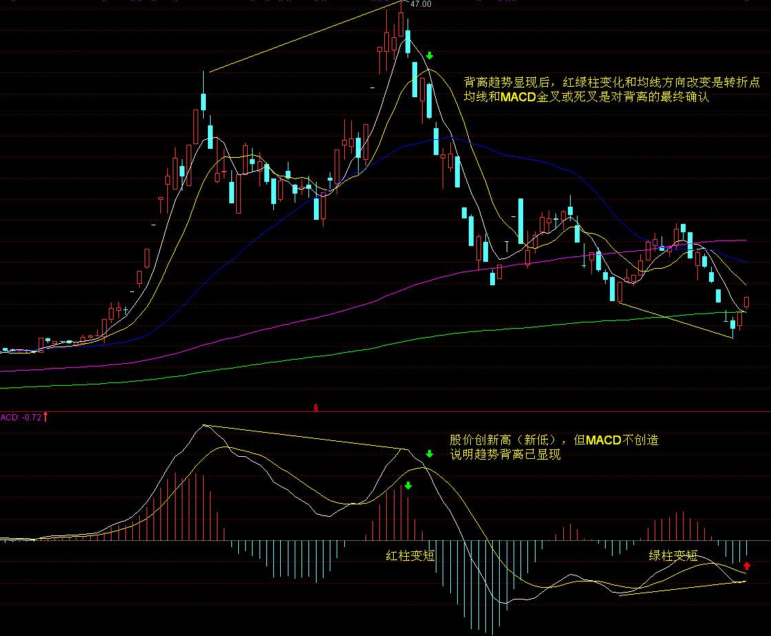 广西开出首趟多式联运物流总包外贸货物列车