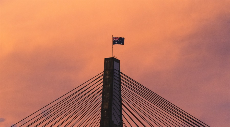 趁热打“贴”,三伏天灸开启!温阳驱寒、调理脏腑正当时