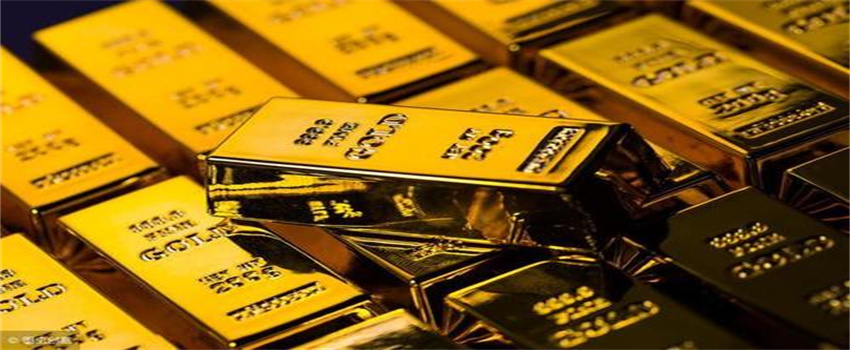 践行分类新时尚  共创绿色校园风